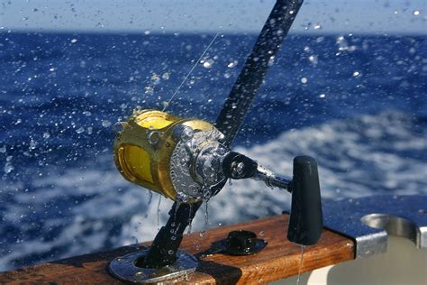 Saltwater Fishing