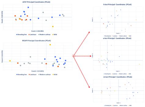 Principal Coordinates Analyses PCoA Of Genetic AFLP And Epigenetic