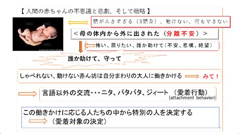 オンライン版／アタッチメント（愛着）理論 －子どもにとっての安心の原点－ チーム医療ラーニング