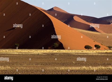 Sand dunes in the Namib Stock Photo - Alamy