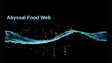 Abyssal Food Web by Stirling Argabright on Prezi