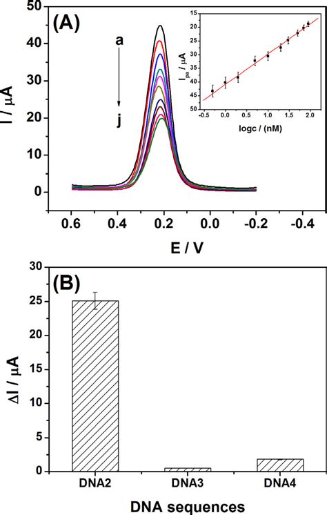 A Differential Pulse Voltammograms Of The Biosensor With Different