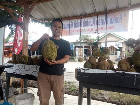 Anda Pecinta Si Raja Buah Wajib Datang Ke Posko Durian Runtuh Bukit