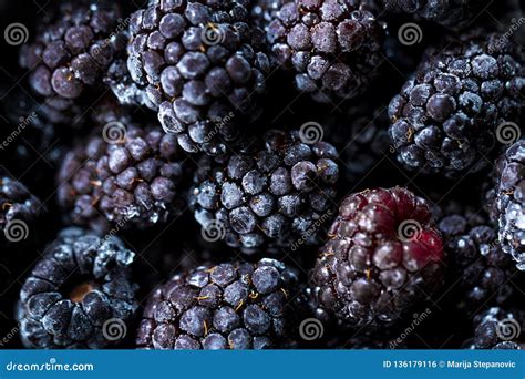 Frozen Blackberries As Background Organic Fruit Close Up Stock Photo