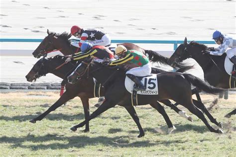 【3歳新馬・京都5r】ミエスペランサが接戦を制してデビュー勝ち｜競馬ニュース｜競馬予想のウマニティ