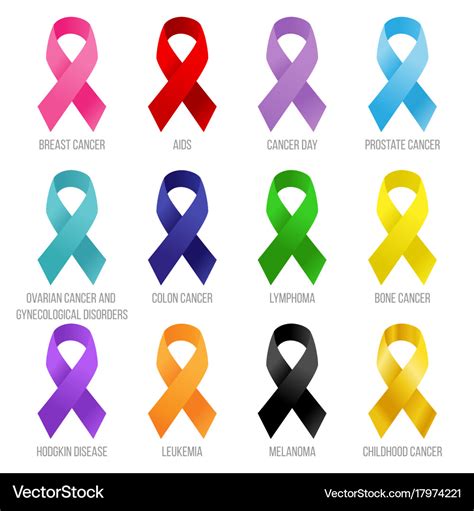 Support Ribbons Set Royalty Free Vector Image Vectorstock