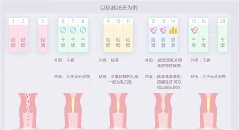 这个最好的备孕方法，大部分人却还不知道 知乎