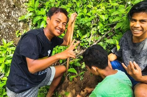 Planting Tree Sumatra Jungle Trekking