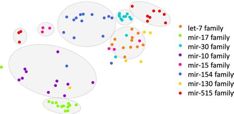 T Sne Visualization Of Mirna Latent Features T Sne Analysis On Latent