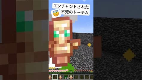 不死のトーテムにエンチャントしてみた Minecraft マイクラ マインクラフト Minecraft Summary マイクラ動画