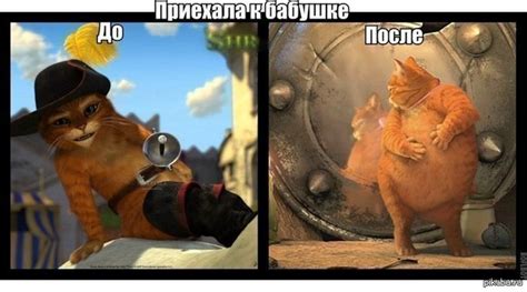 Бабушки, такие бабушки :) | Пикабу