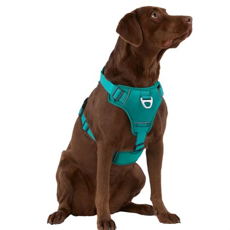 Arcadia Trail Neoprene Harness Arcadia Trail