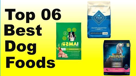 Dog Foods 2020top 6 Best Dog Foods Buying Guide Youtube