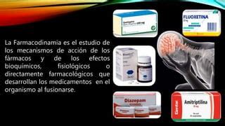 FARMACODINAMIA Pptx