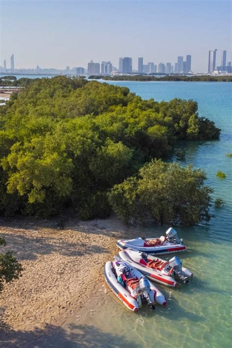 Abu Dhabi Yas Island Self Driving Guided Speedboat Tour Getyourguide