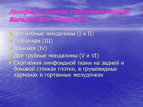ЛЕКЦИЯ 5 Анатомия и физиология глотки Лимфаденоидное