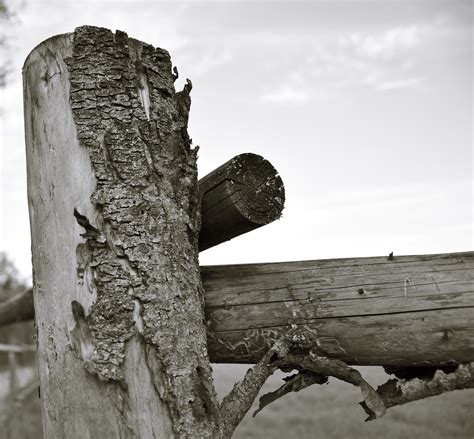 Free Images Rock Winter Fence Wood Monument Statue Material