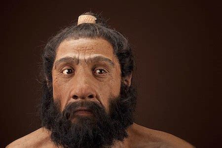 Denisovan Face