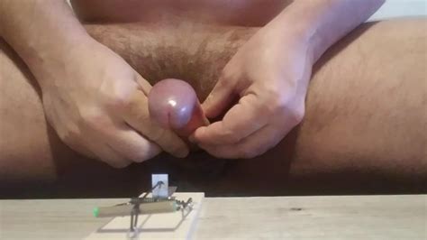 CBT Play With Mousetrap Gay Porn XHamster