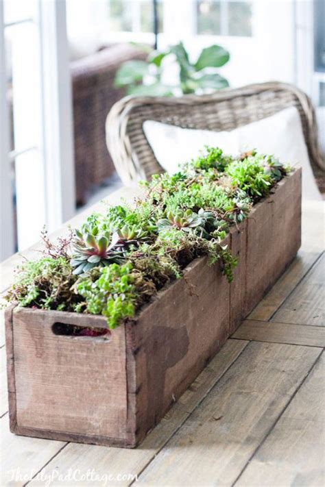 38 Indoor Succulent Display Ideas To Beautify Your Home Homemydesign