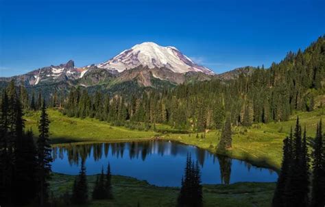 Mount Rainier National Park