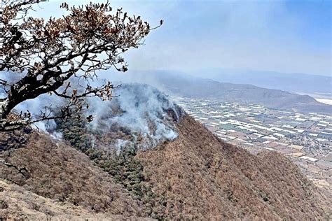 Azotan Incendios A Bosques En 2023