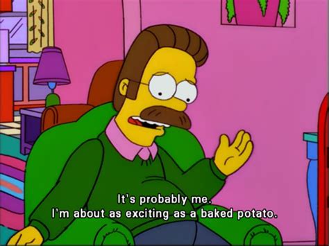 Ned Flanders Simpsons Quotes The Simpsons Simpsons Funny