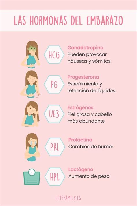 Las 5 hormonas del embarazo Cosas de enfermeria Enfermería