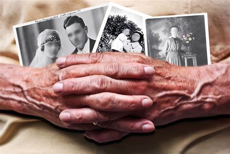Understanding Alzheimers Disease Causes And Progression Solterra