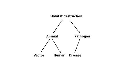 Use The Following Terms To Create A Concept Map Habitat Des Quizlet