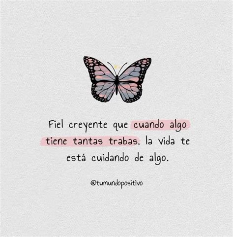 Pin De En Mariposas Y Frases Hermosas S Bueno