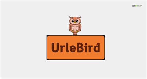 What Is Urlebird Top 10 Alternatives Of Urlebird Smm