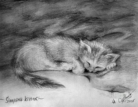 How To Draw A Kitten Sleeping