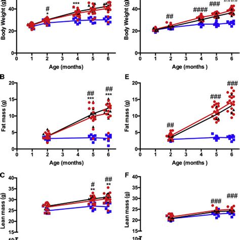 Wars2 V117L V117L Mice Have Reduced Body Weight Due To Reduced