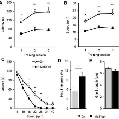 Locomotor Coordination And Muscular Capacities Ab Training Phase Of