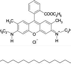 Chemical structure of (a) Rhodamine 6G and (b) Cetyltrimethyl ammonium ...