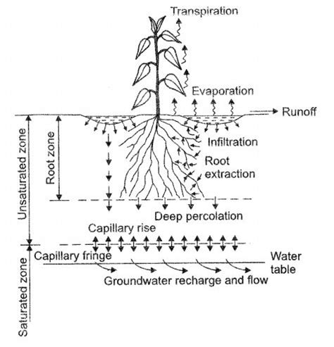 Chapter Bodenwasserhaushalt Kurse Notitzen