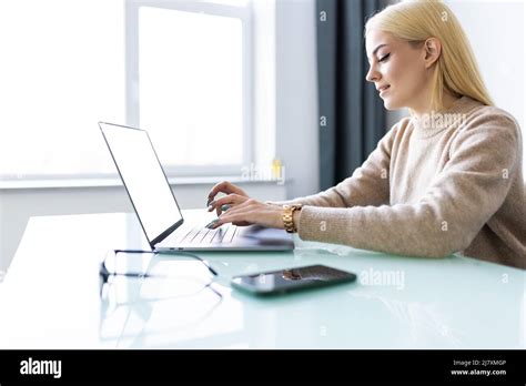 An Attractive Businesswoman Working On Laptop In Her Workstation Stock