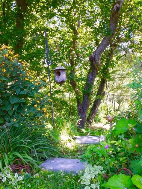 Pin by Sylvie Tétreault on Jardin Side yard Tree Plants