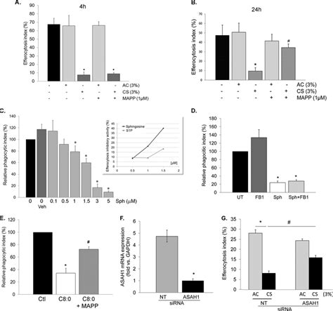 Cs Inhibition Of Am Efferocytosis Is Sphingosine Dependent A And B