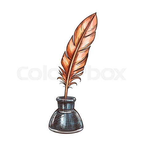 Vintage Feather Or Quill Pen In Inkwell Sketch Stock Vector Colourbox