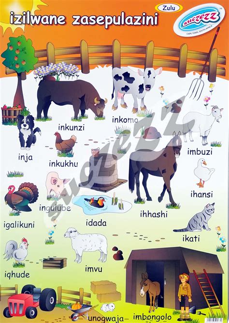 Poster - Izilwane Zasepulazine (Farm Animals) - Suczezz