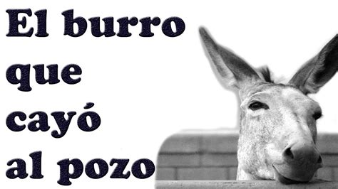 El Burro En El Pozo Reflexion Estudiar