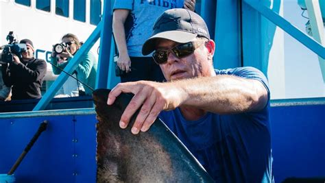 Photos Of Great White Shark George Who Was Tracked Near Everglades