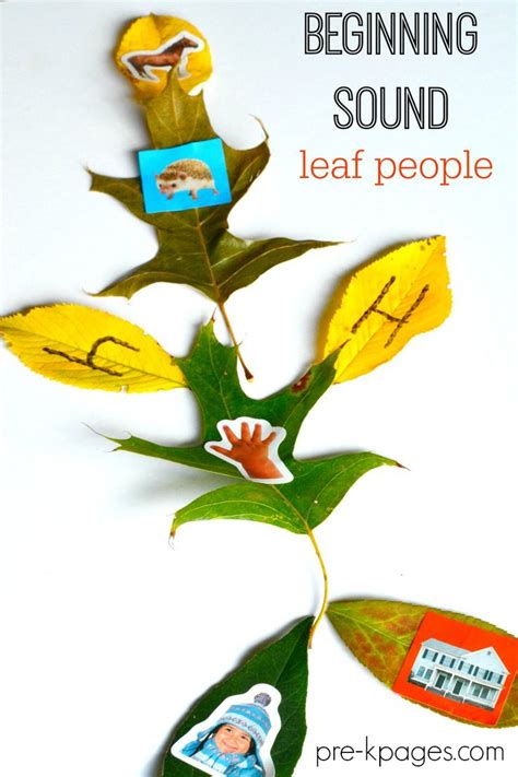 Leaf Man Beginning Sounds Activity Pre K Pages