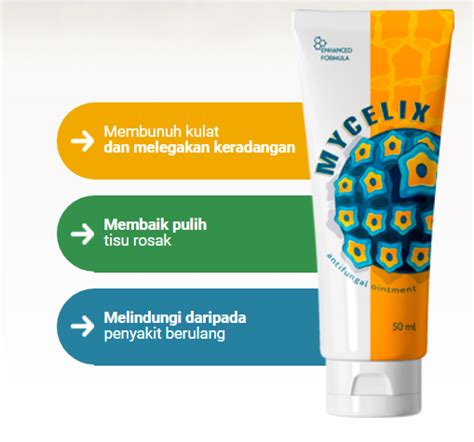 Mycelix Krim Ulasan Bahan Harga Efek Samping Manfaat