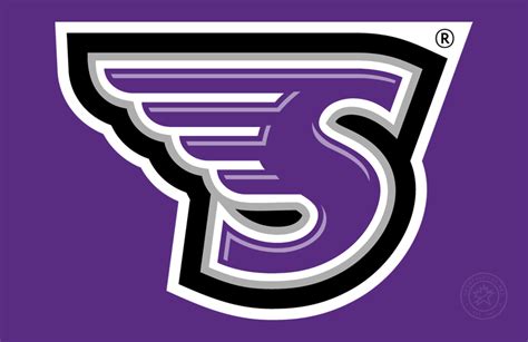 Stonehill Skyhawks Logo - Primary Dark Logo - NCAA Division I (s-t) (NCAA s-t) - Chris Creamer's ...