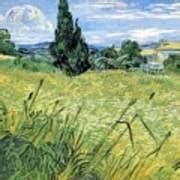 Green Wheat Field With Cypress Vincent Van Gogh Painting By Vincent