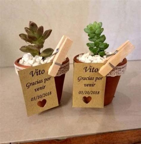 Mini Cactus Suculentas Souvenir Eventos Cumple Isiflor