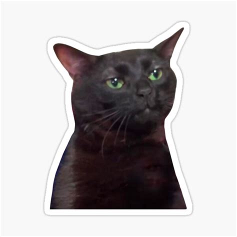 Black Cat Zoning Out Sticker For Sale By Apostrophy Studio Redbubble